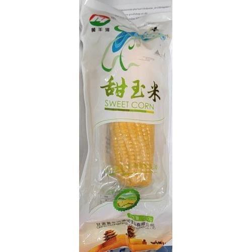 黄羊河 甜玉米