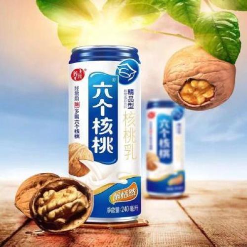 养元六个核桃核桃乳 240ml