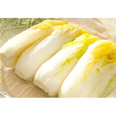 娃娃菜 250G