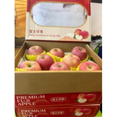 红富士苹果 1箱